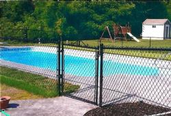 Inspiration Gallery - Pool Fencing - Image: 130