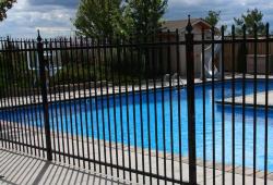 Inspiration Gallery - Pool Fencing - Image: 134
