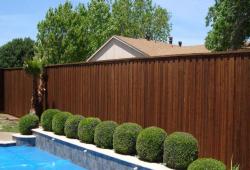 Inspiration Gallery - Pool Fencing - Image: 144